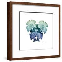 Sea Sky Sand Dollars-Albert Koetsier-Framed Art Print