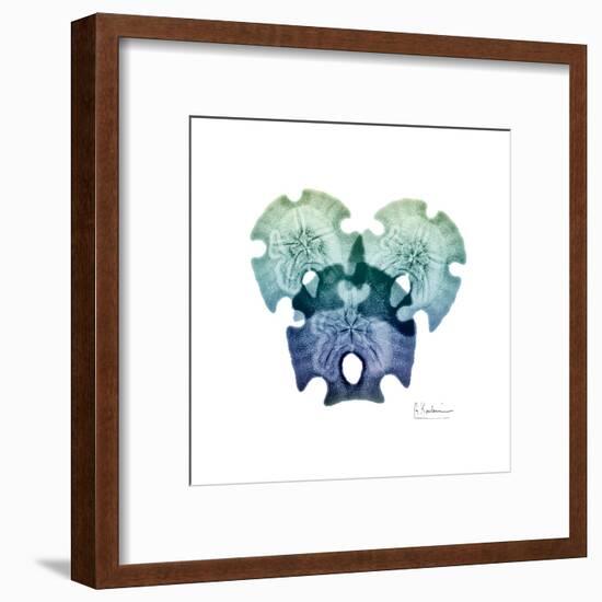 Sea Sky Sand Dollars-Albert Koetsier-Framed Art Print