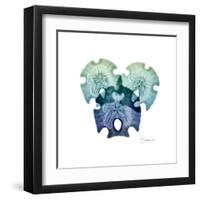 Sea Sky Sand Dollars-Albert Koetsier-Framed Art Print