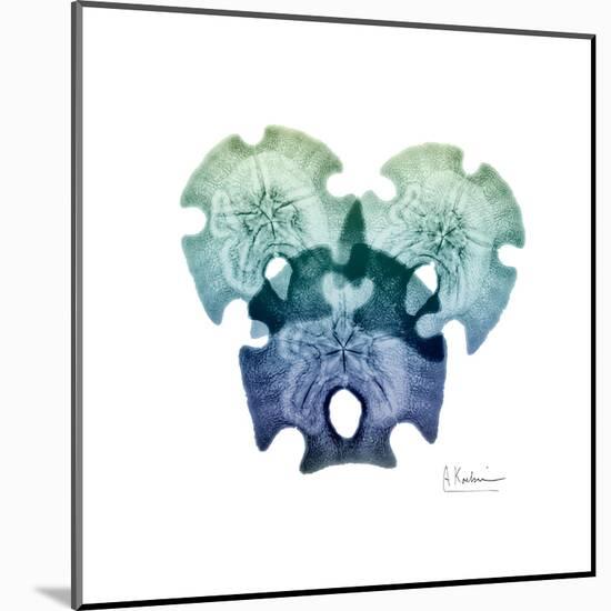 Sea Sky Sand Dollars-Albert Koetsier-Mounted Art Print