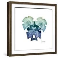 Sea Sky Sand Dollars-Albert Koetsier-Framed Art Print