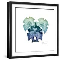 Sea Sky Sand Dollars-Albert Koetsier-Framed Art Print