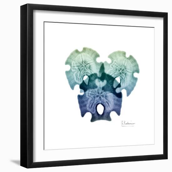 Sea Sky Sand Dollars-Albert Koetsier-Framed Art Print