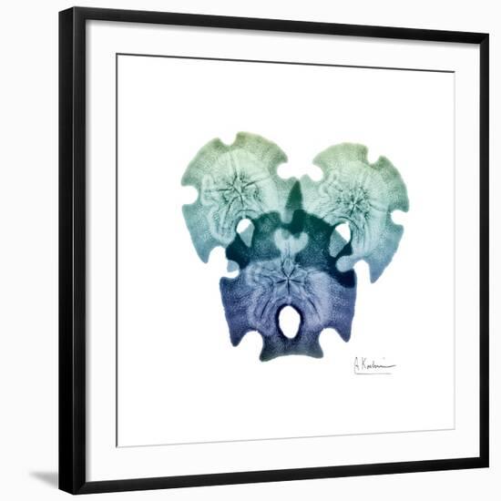 Sea Sky Sand Dollars-Albert Koetsier-Framed Giclee Print