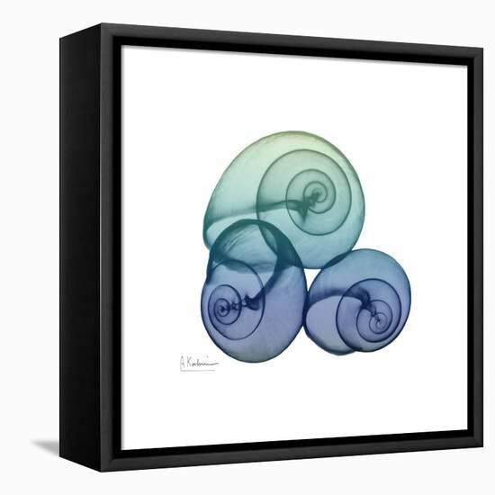 Sea Sky Snails-Albert Koetsier-Framed Stretched Canvas