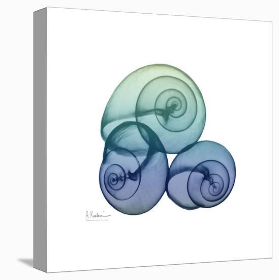 Sea Sky Snails-Albert Koetsier-Stretched Canvas