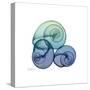 Sea Sky Snails-Albert Koetsier-Stretched Canvas