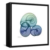 Sea Sky Snails-Albert Koetsier-Framed Stretched Canvas