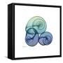 Sea Sky Snails-Albert Koetsier-Framed Stretched Canvas