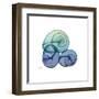 Sea Sky Snails-Albert Koetsier-Framed Art Print