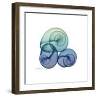 Sea Sky Snails-Albert Koetsier-Framed Art Print