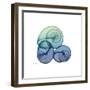 Sea Sky Snails-Albert Koetsier-Framed Art Print