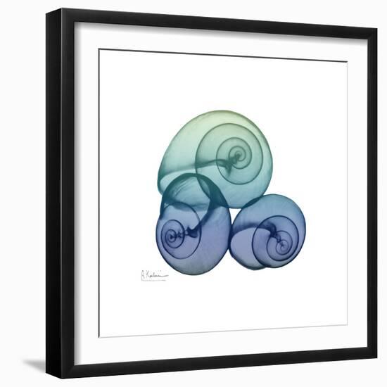 Sea Sky Snails-Albert Koetsier-Framed Art Print