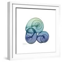 Sea Sky Snails-Albert Koetsier-Framed Art Print