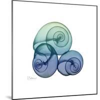 Sea Sky Snails-Albert Koetsier-Mounted Art Print
