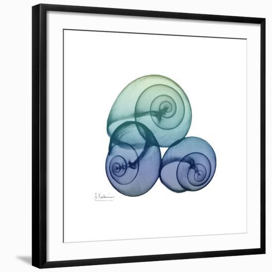 Sea Sky Snails-Albert Koetsier-Framed Giclee Print