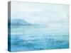 Sea Sparkle II-Danhui Nai-Stretched Canvas