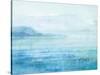 Sea Sparkle II-Danhui Nai-Stretched Canvas