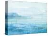 Sea Sparkle II-Danhui Nai-Stretched Canvas