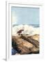 Sea Spray II-Dianne Miller-Framed Art Print