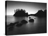 Sea Stack at Sunset, Trinidad, California, USA-Adam Jones-Stretched Canvas