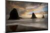 Sea Stack & Surf-Danny Head-Mounted Photographic Print