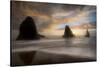 Sea Stack & Surf-Danny Head-Stretched Canvas