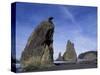 Sea Stacks along Shores of Olympic National Park, Washington, USA-Paul Souders-Stretched Canvas