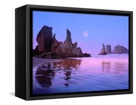 Sea Stacks and Beach-Cindy Kassab-Framed Stretched Canvas