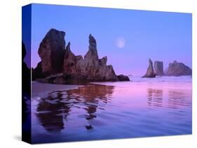 Sea Stacks and Beach-Cindy Kassab-Stretched Canvas