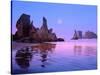 Sea Stacks and Beach-Cindy Kassab-Stretched Canvas