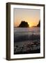 Sea Stacks and Pacific Ocean, Second Beach, Olympic National Park, Washington, USA-Merrill Images-Framed Photographic Print