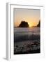 Sea Stacks and Pacific Ocean, Second Beach, Olympic National Park, Washington, USA-Merrill Images-Framed Photographic Print