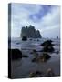 Sea Stacks and Sea Stars on Second Beach, Olympic National Park, Washington, USA-Jamie & Judy Wild-Stretched Canvas