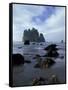 Sea Stacks and Sea Stars on Second Beach, Olympic National Park, Washington, USA-Jamie & Judy Wild-Framed Stretched Canvas