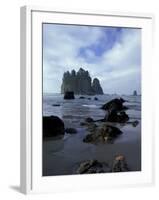 Sea Stacks and Sea Stars on Second Beach, Olympic National Park, Washington, USA-Jamie & Judy Wild-Framed Premium Photographic Print