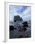 Sea Stacks and Sea Stars on Second Beach, Olympic National Park, Washington, USA-Jamie & Judy Wild-Framed Premium Photographic Print