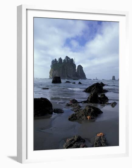 Sea Stacks and Sea Stars on Second Beach, Olympic National Park, Washington, USA-Jamie & Judy Wild-Framed Premium Photographic Print