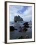 Sea Stacks and Sea Stars on Second Beach, Olympic National Park, Washington, USA-Jamie & Judy Wild-Framed Premium Photographic Print