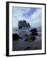 Sea Stacks and Sea Stars on Second Beach, Olympic National Park, Washington, USA-Jamie & Judy Wild-Framed Premium Photographic Print