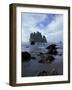 Sea Stacks and Sea Stars on Second Beach, Olympic National Park, Washington, USA-Jamie & Judy Wild-Framed Photographic Print