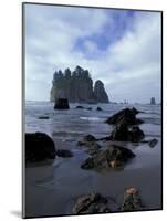 Sea Stacks and Sea Stars on Second Beach, Olympic National Park, Washington, USA-Jamie & Judy Wild-Mounted Photographic Print