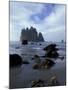 Sea Stacks and Sea Stars on Second Beach, Olympic National Park, Washington, USA-Jamie & Judy Wild-Mounted Photographic Print