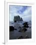 Sea Stacks and Sea Stars on Second Beach, Olympic National Park, Washington, USA-Jamie & Judy Wild-Framed Photographic Print