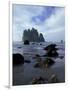 Sea Stacks and Sea Stars on Second Beach, Olympic National Park, Washington, USA-Jamie & Judy Wild-Framed Photographic Print