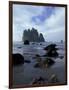 Sea Stacks and Sea Stars on Second Beach, Olympic National Park, Washington, USA-Jamie & Judy Wild-Framed Photographic Print