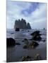 Sea Stacks and Sea Stars on Second Beach, Olympic National Park, Washington, USA-Jamie & Judy Wild-Mounted Photographic Print
