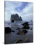 Sea Stacks and Sea Stars on Second Beach, Olympic National Park, Washington, USA-Jamie & Judy Wild-Stretched Canvas