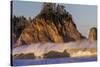 Sea stacks and waves on Rialto Beach, Olympic National Park, Washington State, USA-Chuck Haney-Stretched Canvas