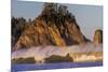 Sea stacks and waves on Rialto Beach, Olympic National Park, Washington State, USA-Chuck Haney-Mounted Photographic Print